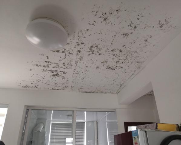 深化黨建推動引領,提升租戶居住幸福指數