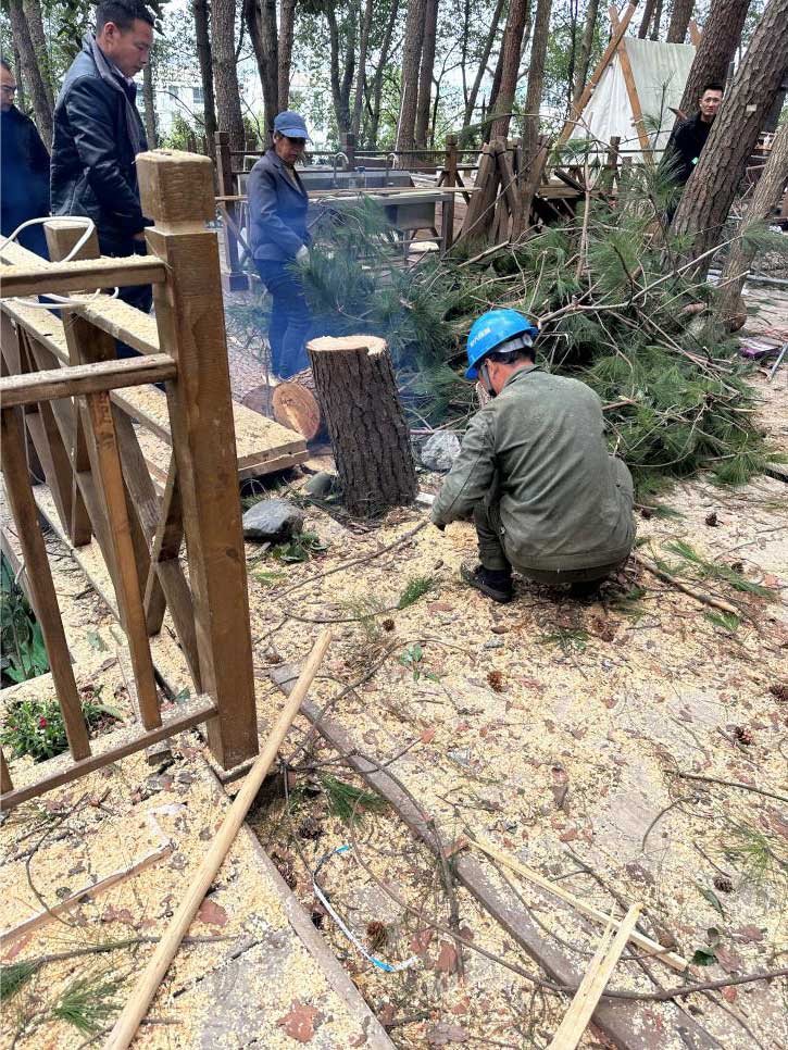 排除隱患,國資公司砍樹解民憂