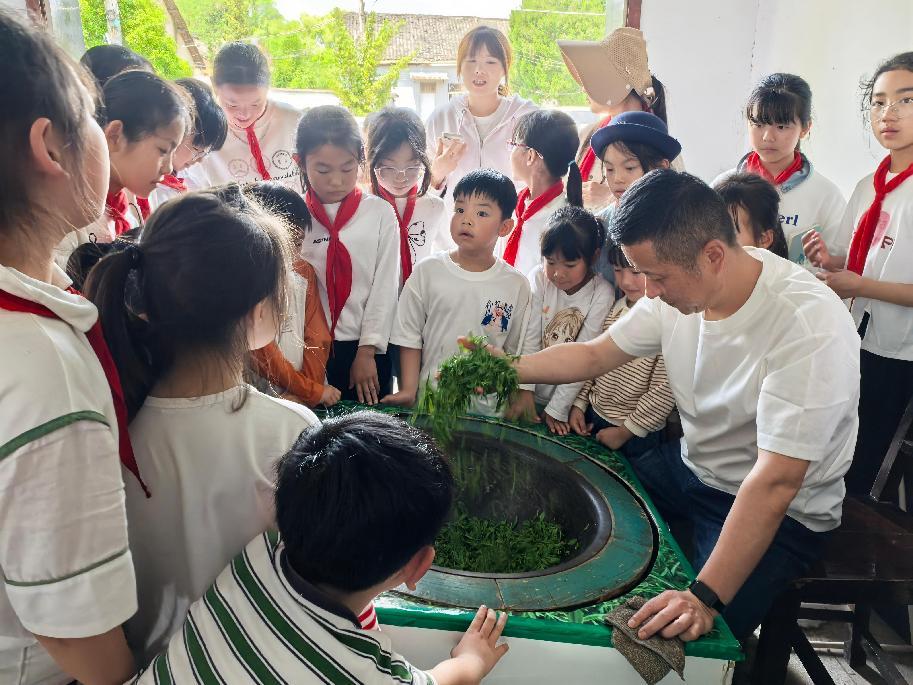 區(qū)關(guān)工委組織學(xué)生到實驗茶場開展茶文化主題實踐活動